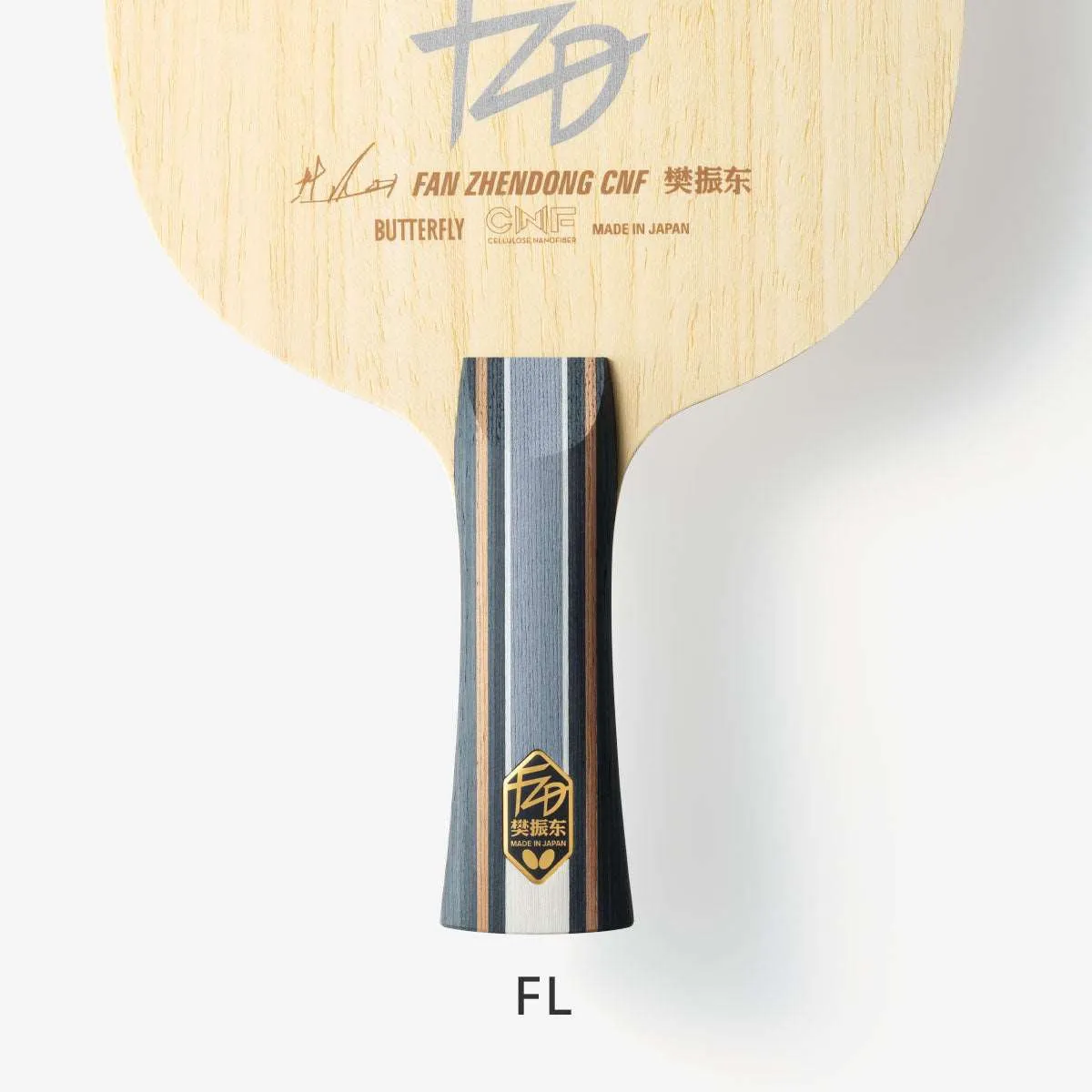 Fan Zhendong CNF