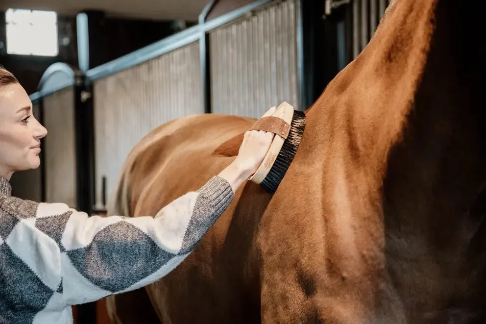 Kentucky Horsewear Overall Brush Hard