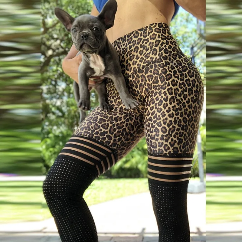 Sexy High Waist Leopard Mesh Skinny Leggings Pants