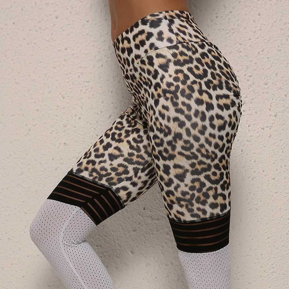 Sexy High Waist Leopard Mesh Skinny Leggings Pants