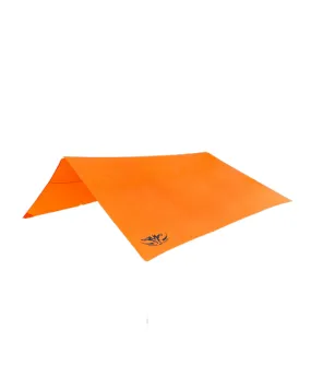 Shield Fly